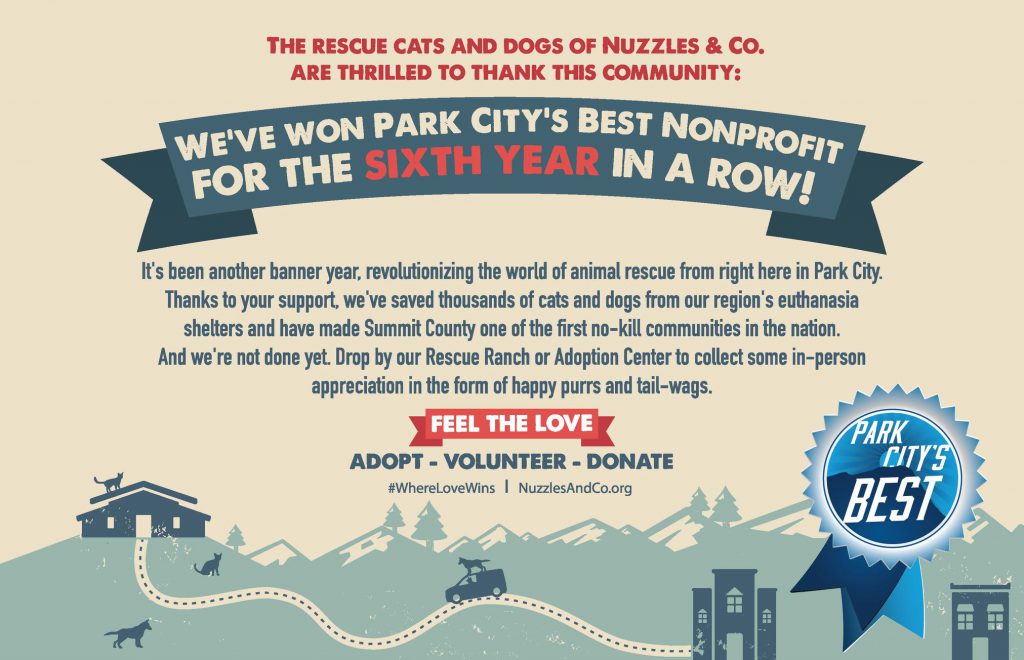 Park City's Best Non-Profit Award